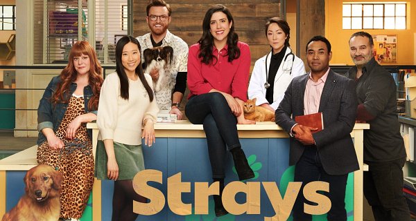 Strays – Bild: CBC