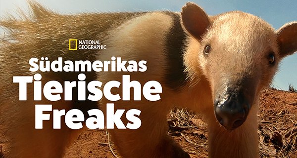 Südamerikas tierische Freaks – Bild: National Geographic
