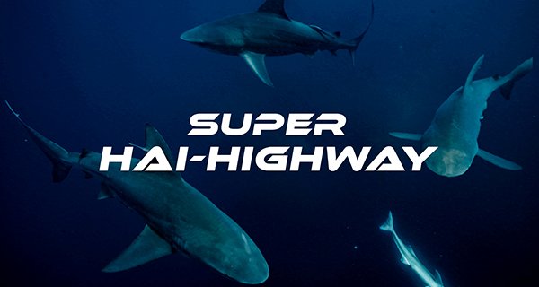 Super Hai-Highway – Bild: Love Nature