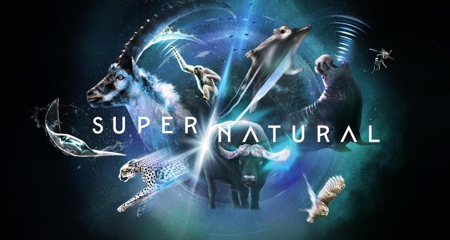 Super/​Natural – Bild: National Geographic