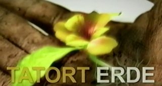 Tatort Erde Tatort Erde