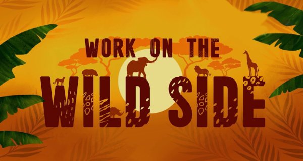 Team Wildlife Südafrika – Bild: Waddell Media/Channel 4 Television Team Wildlife Südafrika – Bild: Waddell Media/Channel 4 Television