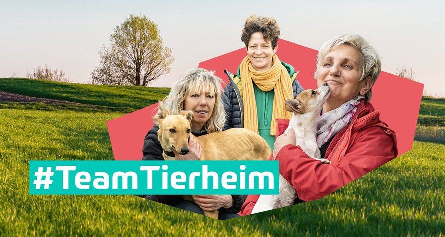 #TeamTierheim – Bild: MDR #TeamTierheim – Bild: MDR