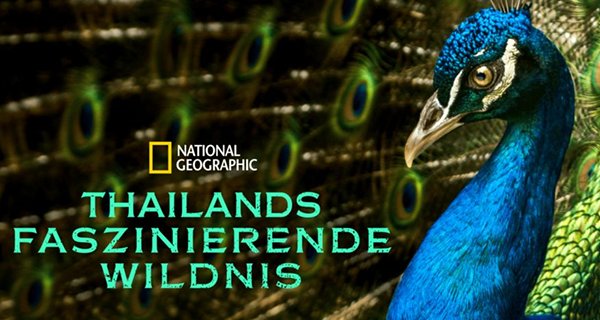 Thailands faszinierende Wildnis – Bild: National Geographic