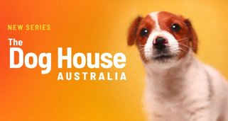 The Dog House Australia