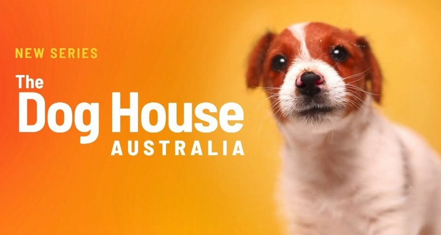 The Dog House Australia – Bild: All3Media International/Five Mile Films The Dog House Australia – Bild: All3Media International/Five Mile Films