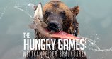 The Hungry Games: Wettkampf der Braunbären – Bild: Love Nature The Hungry Games: Wettkampf der Braunbären – Bild: Love Nature