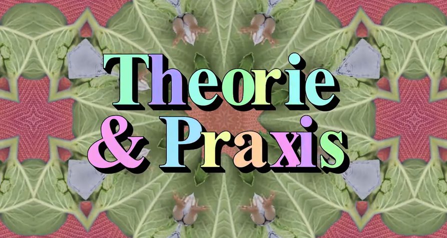 Theorie & Praxis – Bild: arte/Screenshot