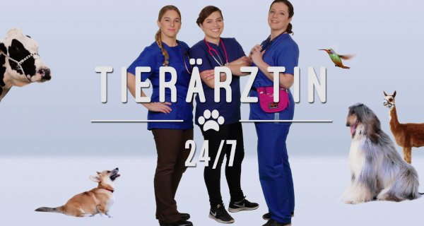 Tierärztin 24/7 – Bild: SRF/RTS/ZDF Tierärztin 24/7 – Bild: SRF/RTS/ZDF