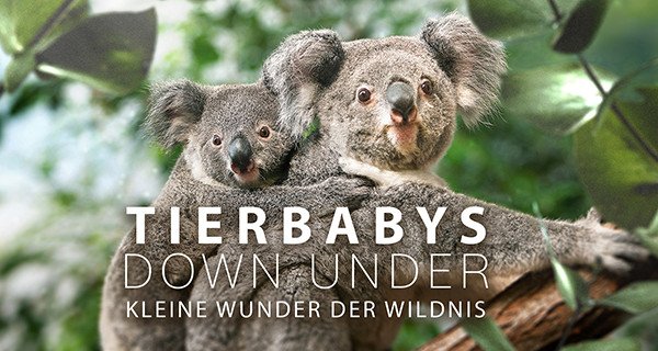 Tierbabys Down Under – Kleine Wunder der Wildnis – Bild: ZDF/Shutterstock Tierbabys Down Under – Kleine Wunder der Wildnis – Bild: ZDF/Shutterstock