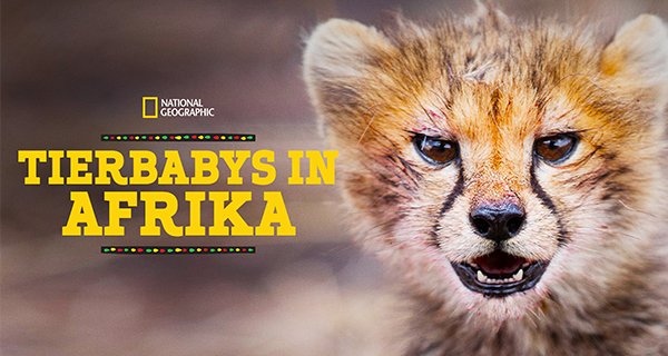 Tierbabys in Afrika – Bild: National Geographic Tierbabys in Afrika – Bild: National Geographic