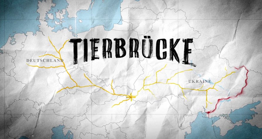 Tierbrücke – Bild: FilmCrew Media GmbH Tierbrücke – Bild: FilmCrew Media GmbH