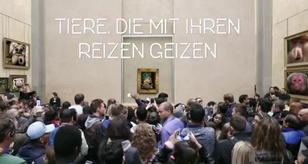 Tiere, die mit ihren Reizen geizen – Bild: arte/cocottesminute productions Tiere, die mit ihren Reizen geizen – Bild: arte/cocottesminute productions