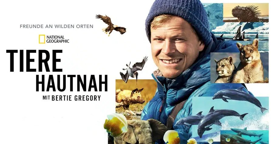 Tiere hautnah mit Bertie Gregory – Bild: National Geographic