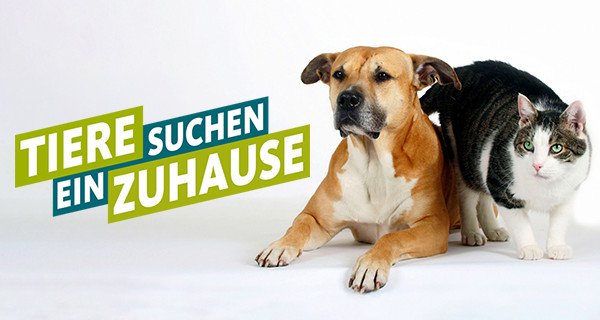 Tiere suchen ein Zuhause – Bild: WDR Tiere suchen ein Zuhause – Bild: WDR