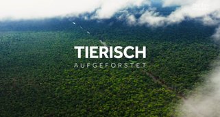 Tierisch aufgeforstet