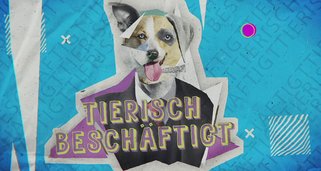 Tierisch beschäftigt