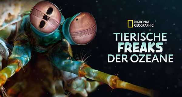 Tierische Freaks der Ozeane – Bild: National Geographic Tierische Freaks der Ozeane – Bild: National Geographic