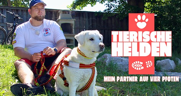 Tierische Helden – Mein Partner auf 4 Pfoten – Bild: RTL Zwei Tierische Helden – Mein Partner auf 4 Pfoten – Bild: RTL Zwei