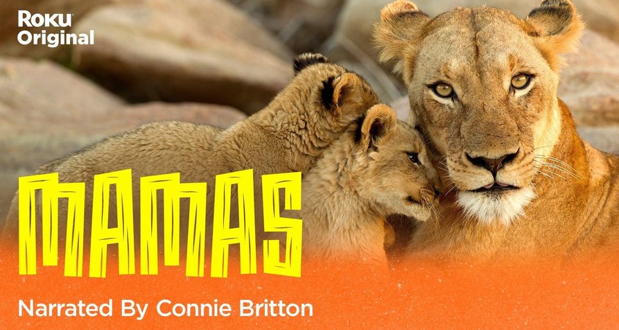 Tierische Mütter – Bild: Cinestar Pictures / Deep Blue Productions / Plimsoll Productions Tierische Mütter – Bild: Cinestar Pictures / Deep Blue Productions / Plimsoll Productions