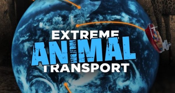 Tiertransporte XXL – Bild: Global Genesis Group Tiertransporte XXL – Bild: Global Genesis Group