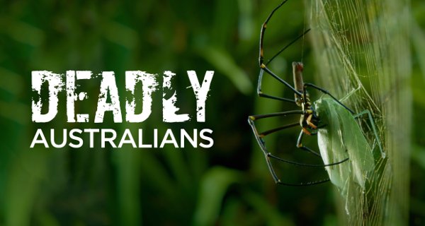 Tödliche Australier – Bild: National Geographic Tödliche Australier – Bild: National Geographic