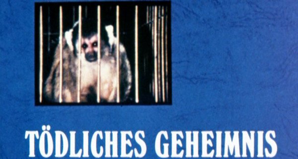 Tödliches Geheimnis – Bild: Tele-München Fernseh GmbH & Co Fritz Buttenstedt, Herbert G. Kloiber / Claridge Films Ltd // ZDF / TF 1 / ORF / SRG Tödliches Geheimnis – Bild: Tele-München Fernseh GmbH & Co Fritz Buttenstedt, Herbert G. Kloiber / Claridge Films Ltd // ZDF / TF 1 / ORF / SRG