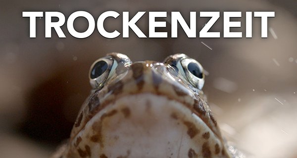 Trockenzeit – Bild: Love Nature Trockenzeit – Bild: Love Nature