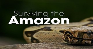 Überleben am Amazonas