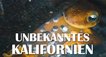 Unbekanntes Kalifornien – Bild: Terra Mater Factual Studios/Wild Logic/Mark Romanov