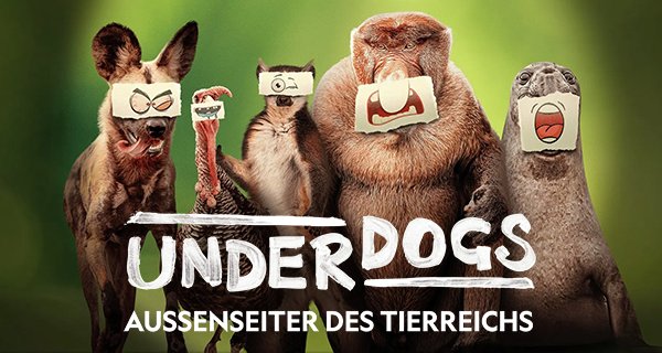 Underdogs – Außenseiter des Tierreichs – Bild: National Geographic Underdogs – Außenseiter des Tierreichs – Bild: National Geographic