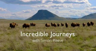 Unglaubliche Reisen mit Simon Reeve