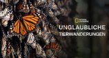 Unglaubliche Tierwanderungen – Bild: National Geographic Wild