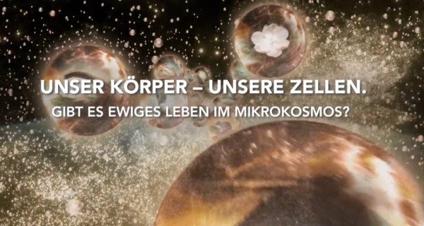 Unser Körper – Unsere Zellen – Bild: arte / NHK / NEP Unser Körper – Unsere Zellen – Bild: arte / NHK / NEP