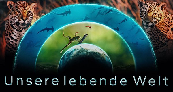 Unsere lebende Welt – Bild: Netflix Unsere lebende Welt – Bild: Netflix
