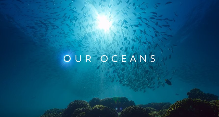 Unsere Ozeane – Bild: Netflix Unsere Ozeane – Bild: Netflix