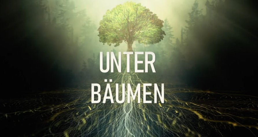 Unter Bäumen – Bild: arte France/Cinétévé Unter Bäumen – Bild: arte France/Cinétévé