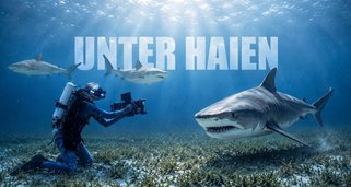 Unter Haien Unter Haien