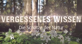 Vergessenes Wissen Vergessenes Wissen