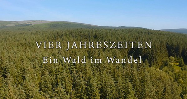 Vier Jahreszeiten – Ein Wald im Wandel – Bild: GEO Television Vier Jahreszeiten – Ein Wald im Wandel – Bild: GEO Television