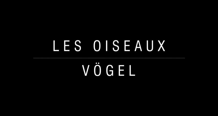 Vögel – Bild: arte Vögel – Bild: arte