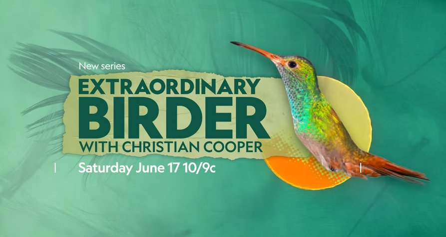 Vogelwild mit Christian Cooper – Bild: National Geographic Vogelwild mit Christian Cooper – Bild: National Geographic