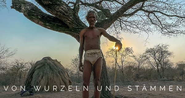 Von Wurzeln und Stämmen – Bild: Alexandre Bouchet/Bonne Pioche Télévision