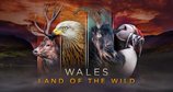 Wales - Der Wilde Westen Großbritanniens – Bild: Magnify Media / Plimsoll Productions