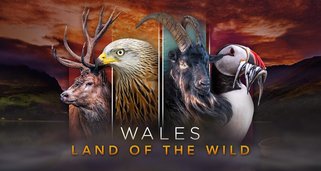 Wales – Der Wilde Westen Großbritanniens
