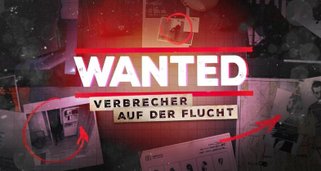 Wanted – Verbrecher auf der Flucht