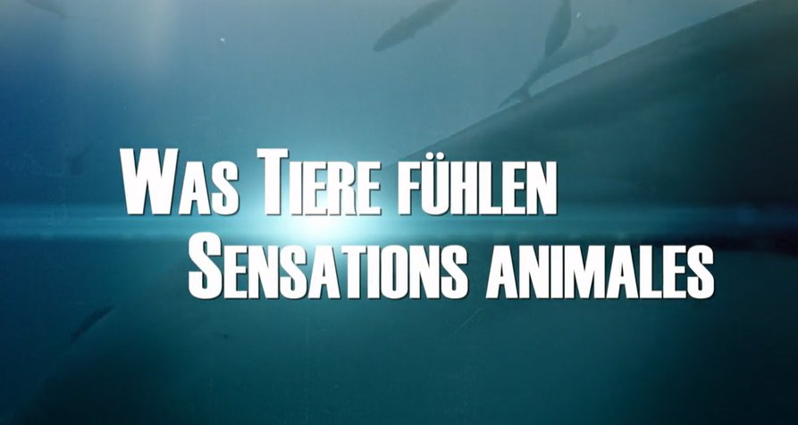 Was Tiere fühlen – Bild: arte/ZDF/Off the Fence