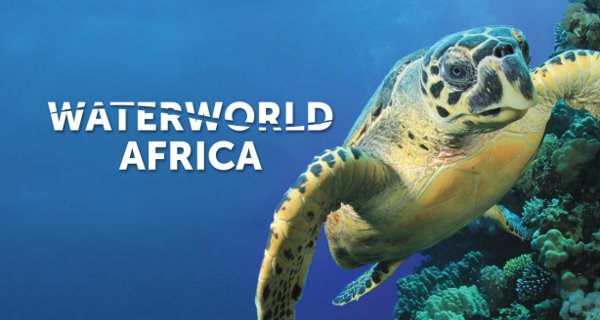 Wasserwelt Afrika – Bild: Smithsonian Channel Wasserwelt Afrika – Bild: Smithsonian Channel