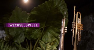 Wechselspiele