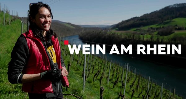 Wein am Rhein – Bild: ZDF/SRF/3sat/Philadelphia Medien